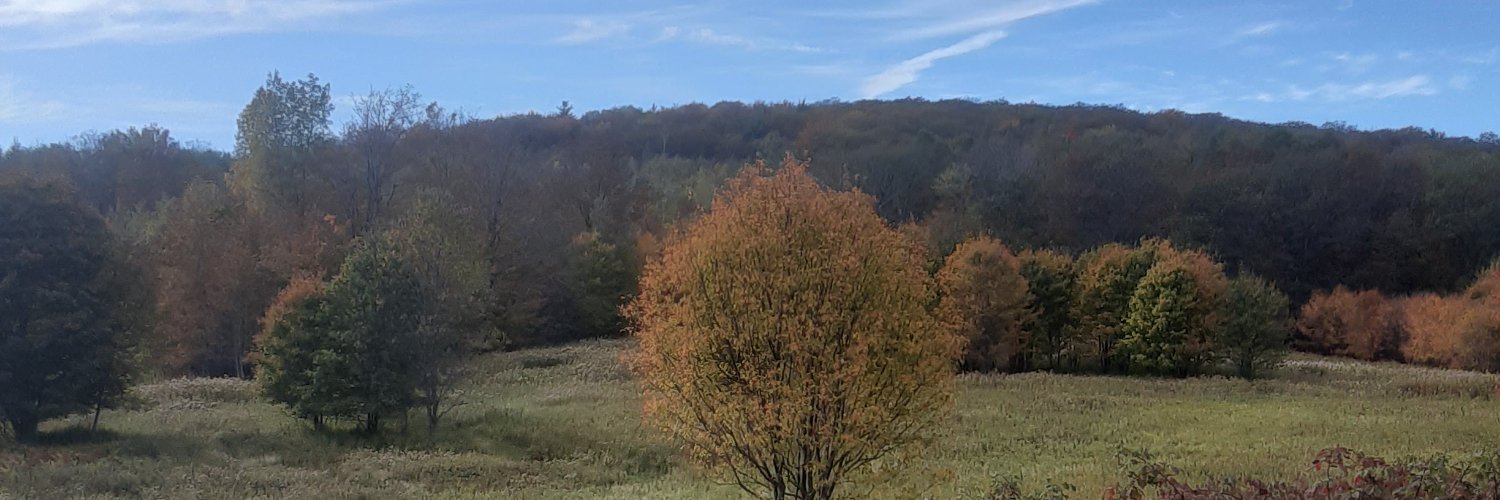 JonManleyMMA's profile banner image