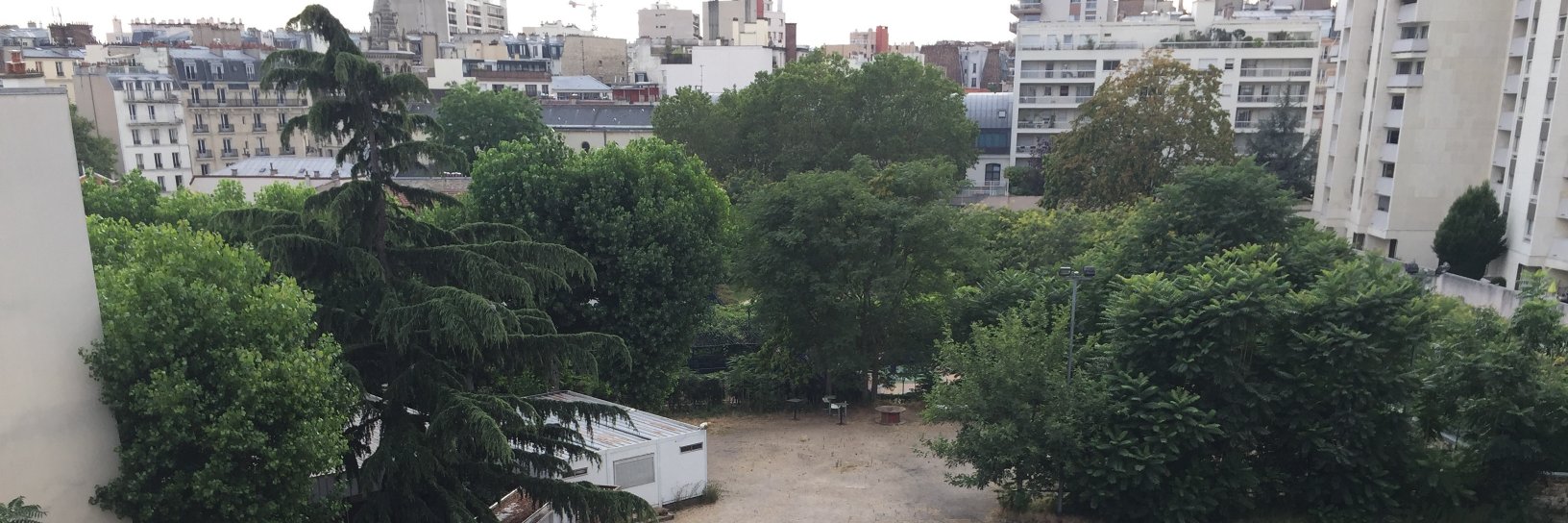 Netter-Debergue banner