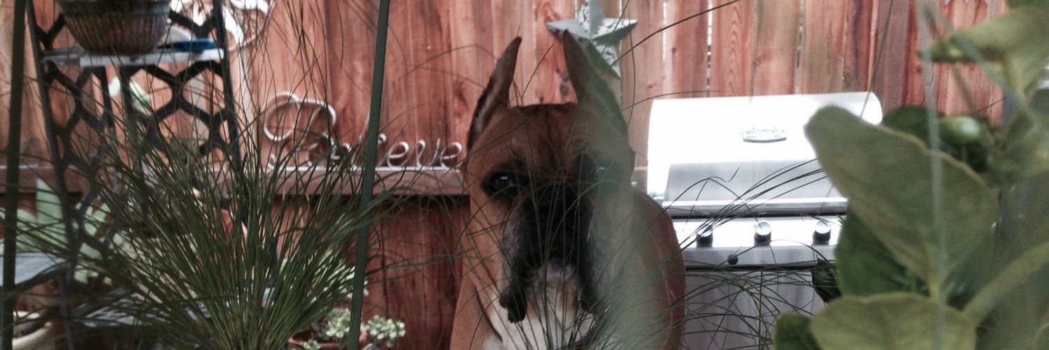P_Moneyginns's profile banner image