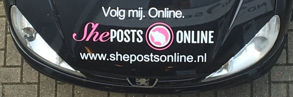ShePostsOnline's profile banner image