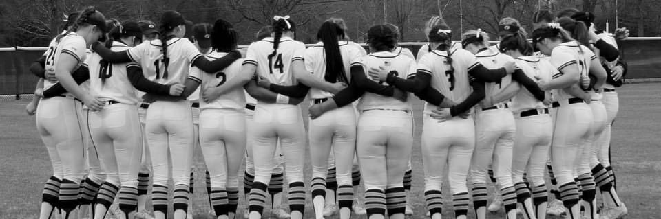 Coker Softball banner
