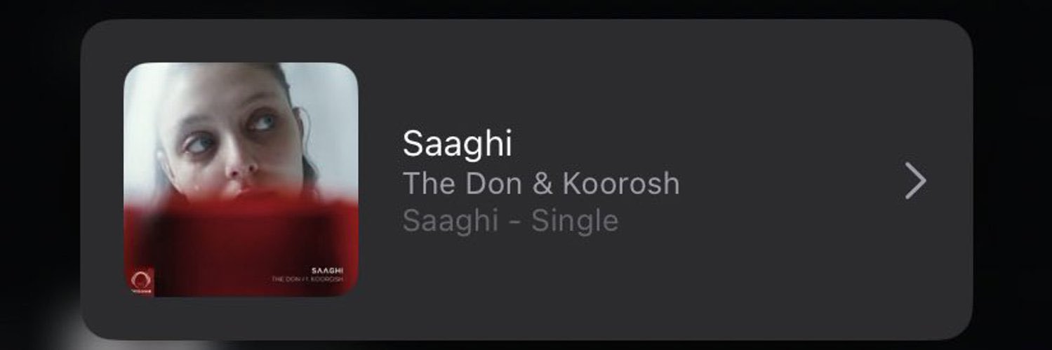 🌶️MSQ🌶️ banner