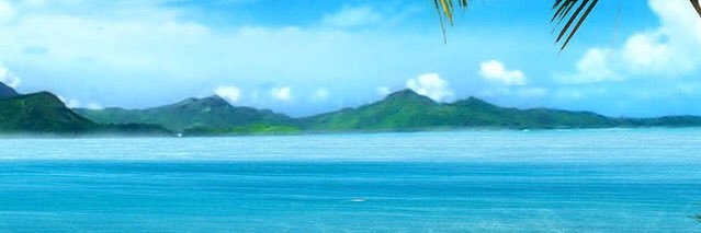 DNCAlan's profile banner image