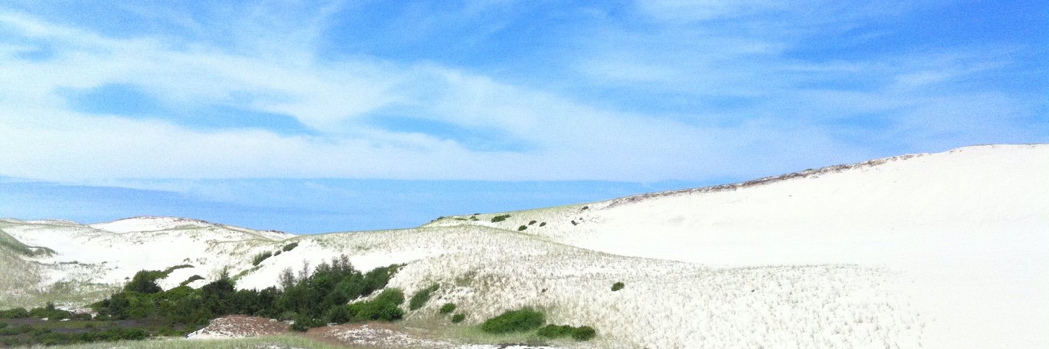 sari edelstein banner