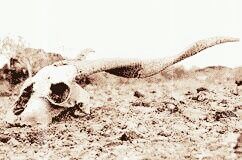 goatheadradio's profile banner image