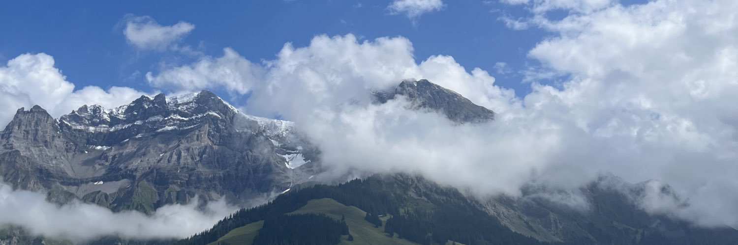 Georgia Galloway banner