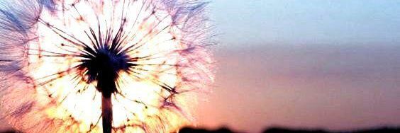 Emin Bayraktar banner