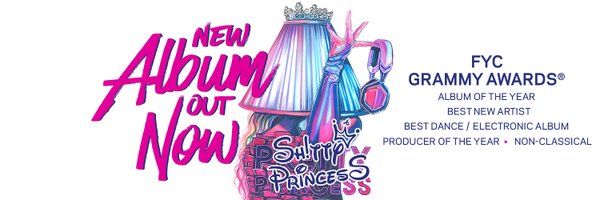 Shitty Princess Profile Banner