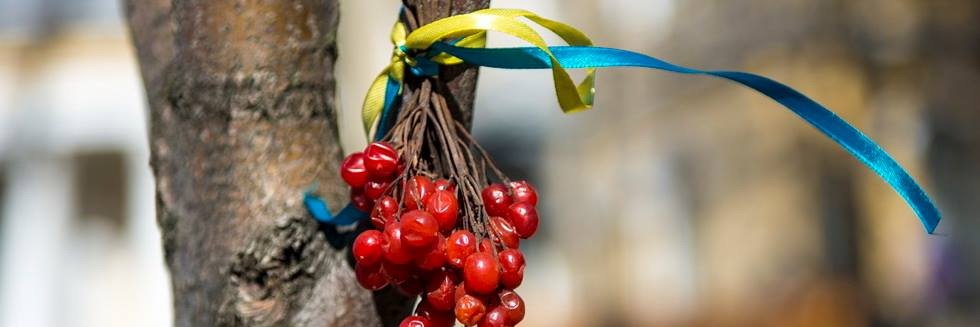 Сергій Миколайович 🇺🇦 banner