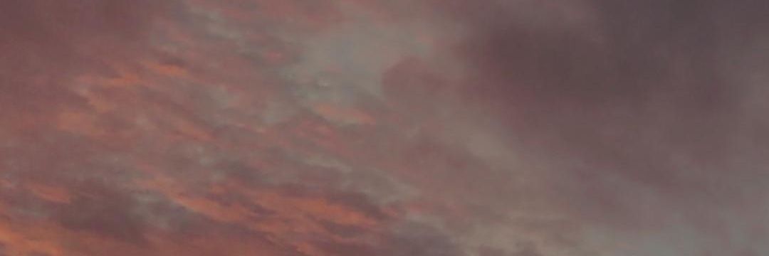 🌝Umbreon 🌚 banner
