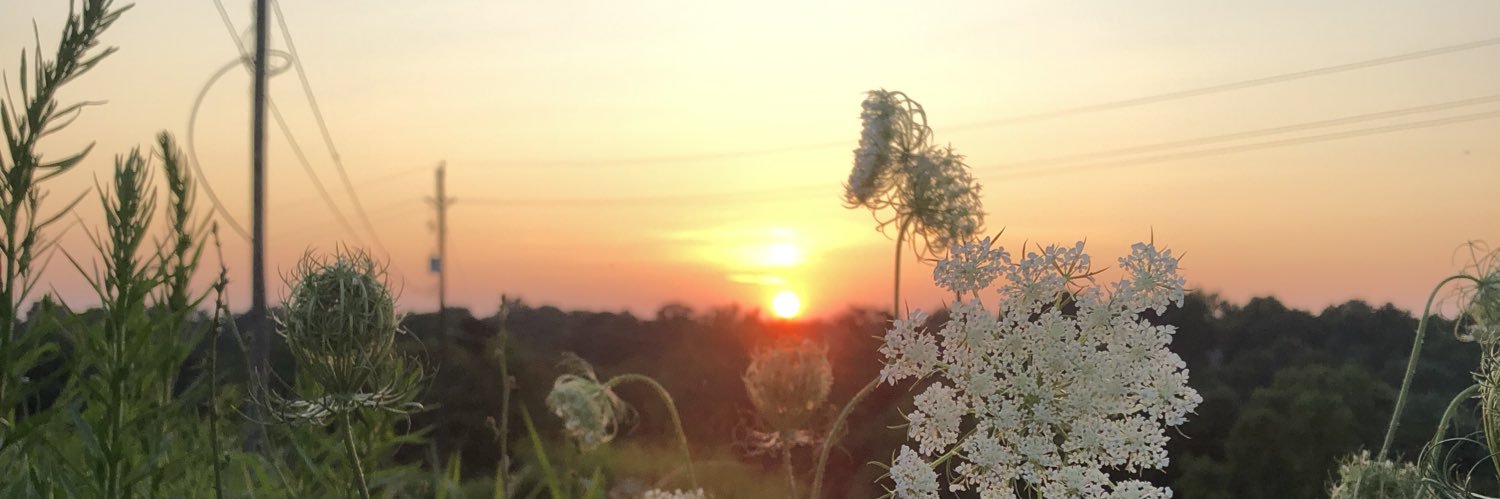 ReedBentzinger's profile banner image
