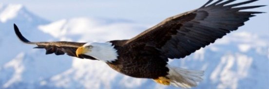 ewassmann1411's profile banner image