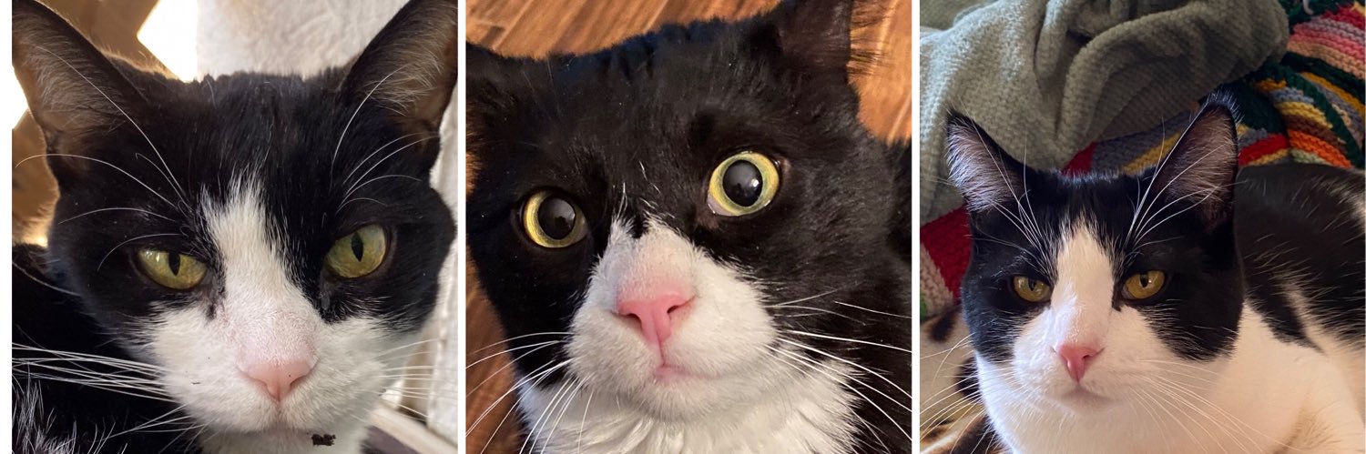 Hadfield, Wu-Tang & Pico (KC🌈)❤️Scruffa banner