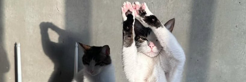 ramosram0's profile banner image