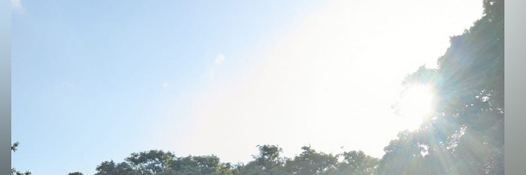 Wallfju's profile banner image