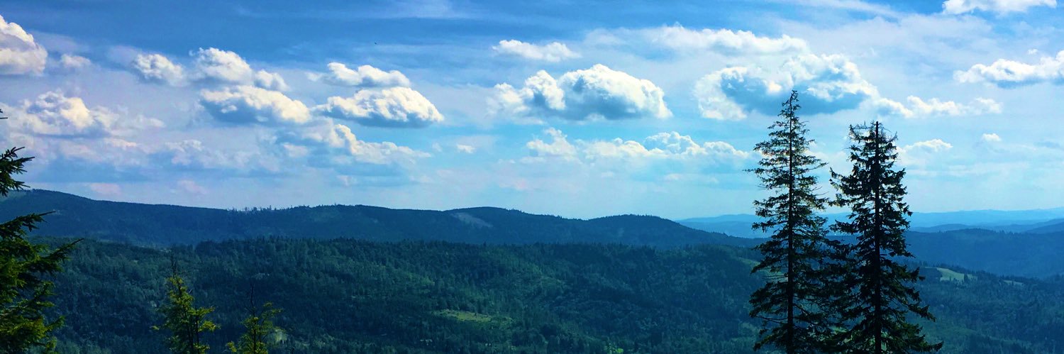AmandaHSY's profile banner image