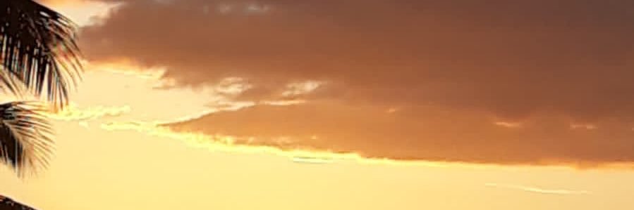 NIKA banner