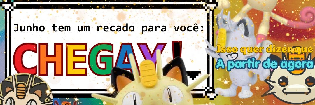 Thiago Lliw Lopes Costa banner