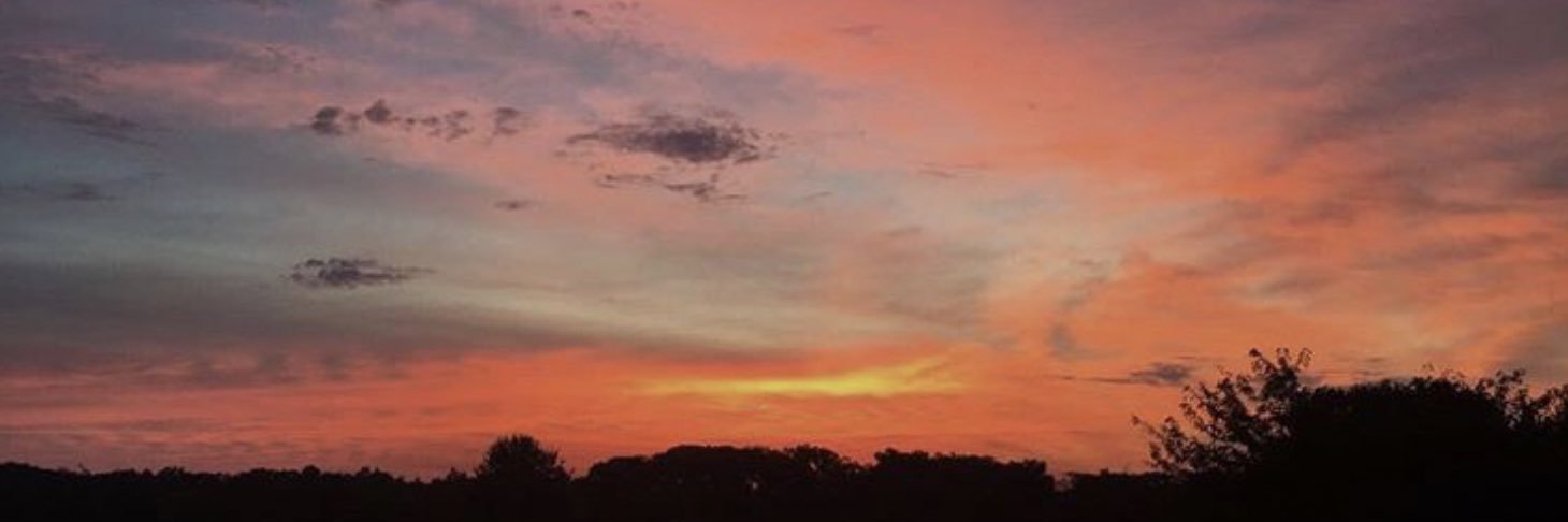 claire__sims's profile banner image