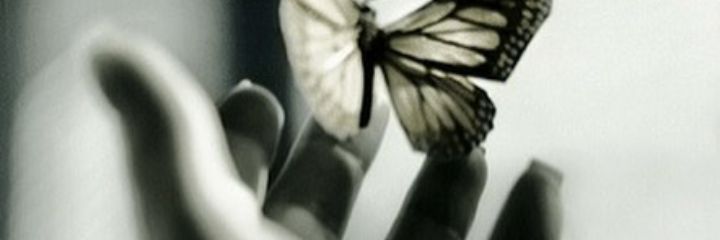 MuniraAS93's profile banner image