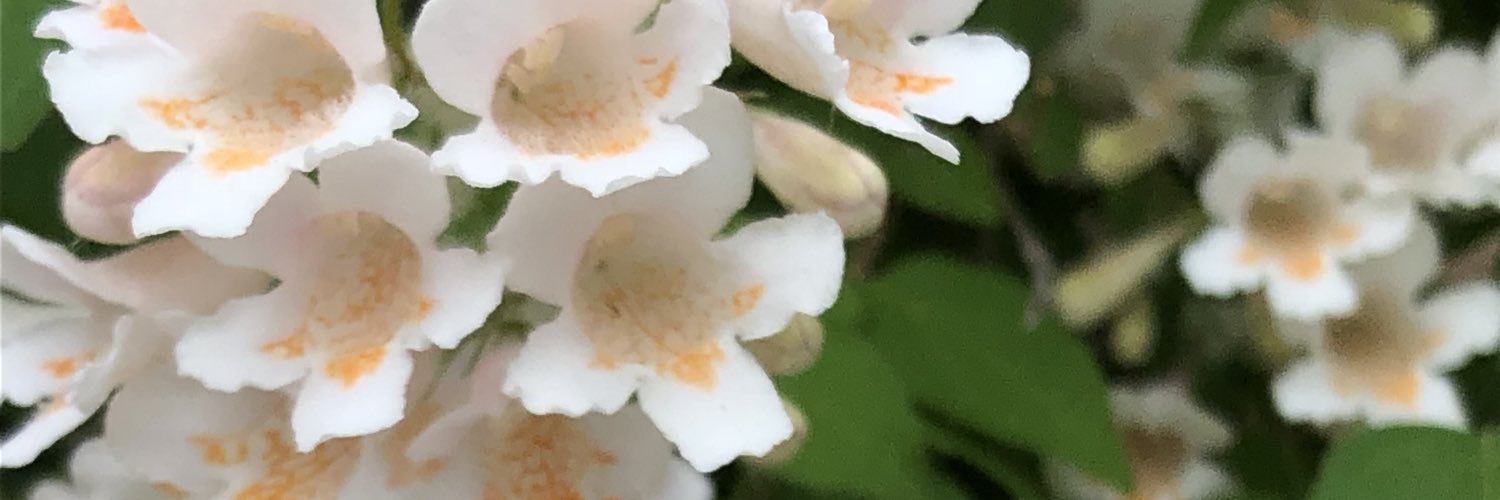 JessicaMenagh's profile banner image