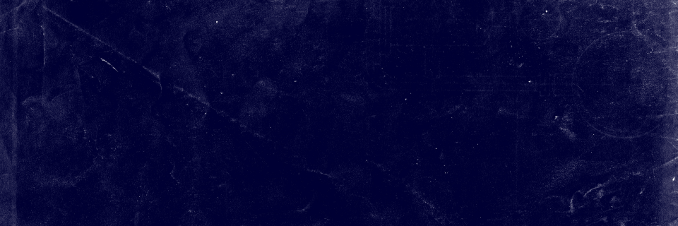 _melanie_le's profile banner image