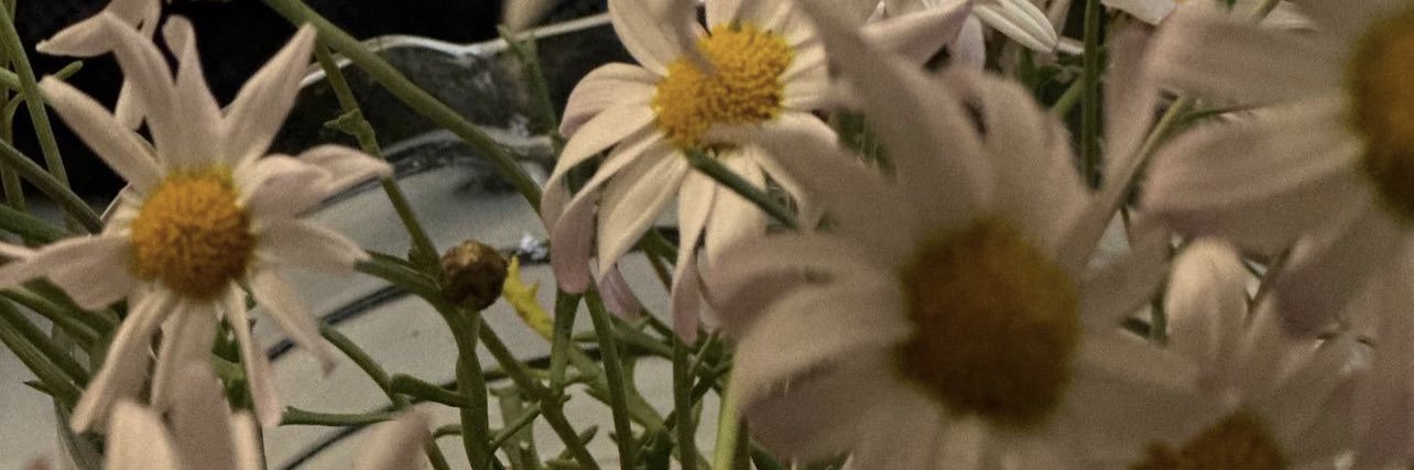 mhenniee's profile banner image
