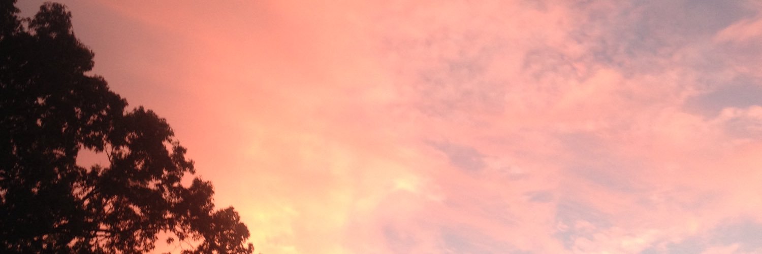 lynnwt12's profile banner image