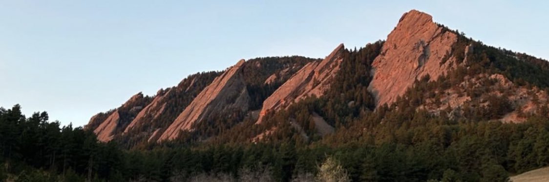 Chris ( Rad ) Finch ( 12x )'s banner