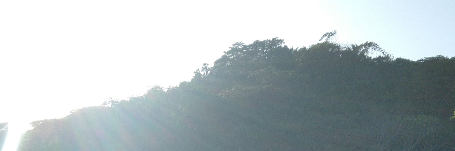 KennyLeones's profile banner image
