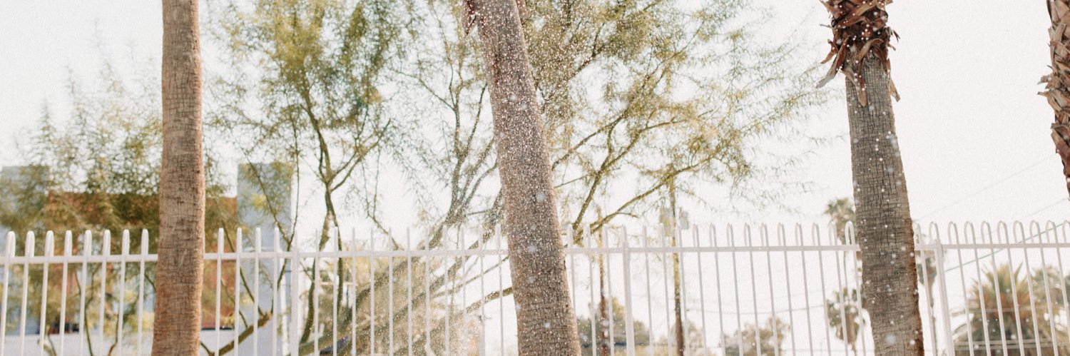 Mackenzie 🌻 banner