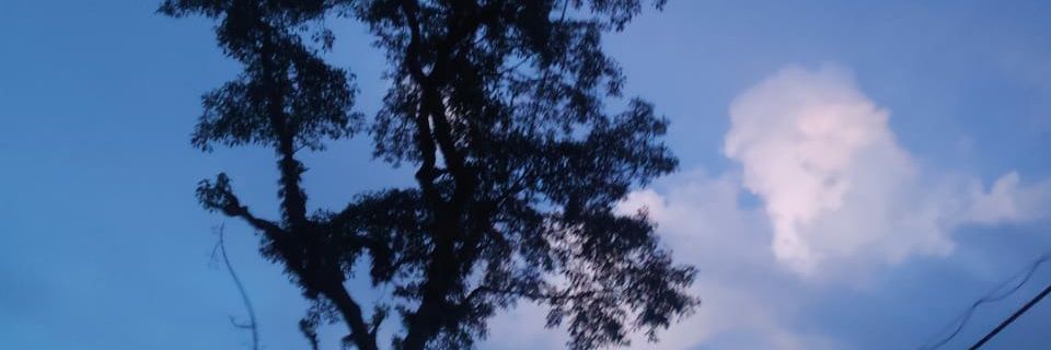 Esther Varte banner