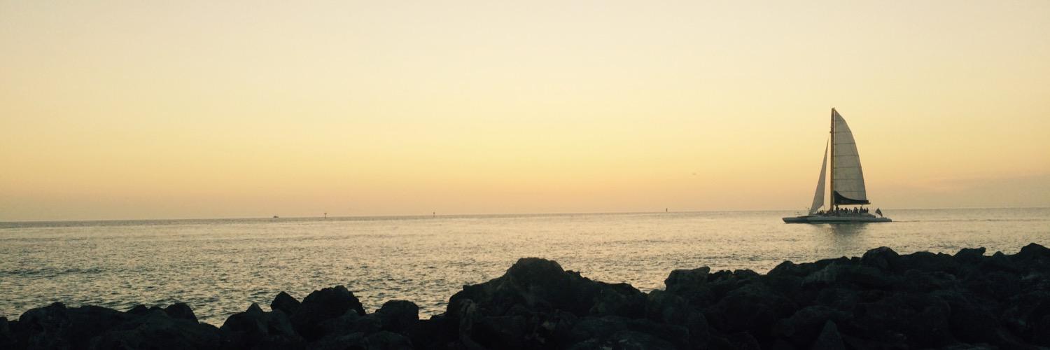 torshilli's profile banner image