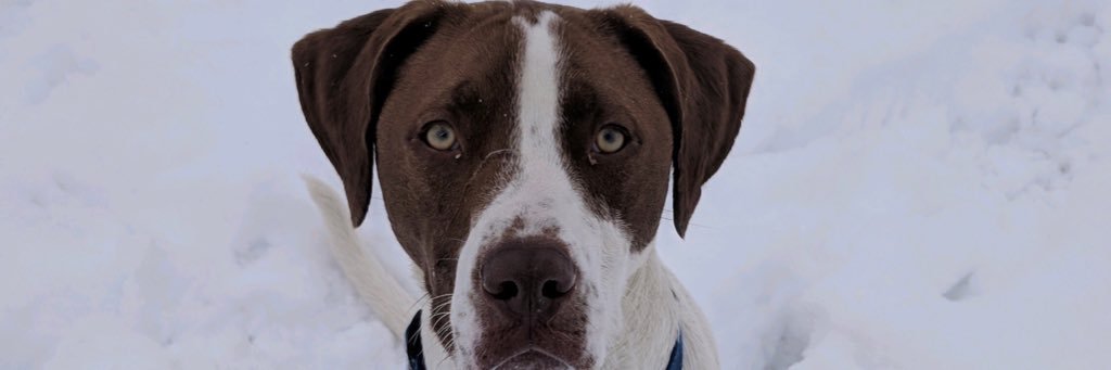 NeilEconomy's profile banner image