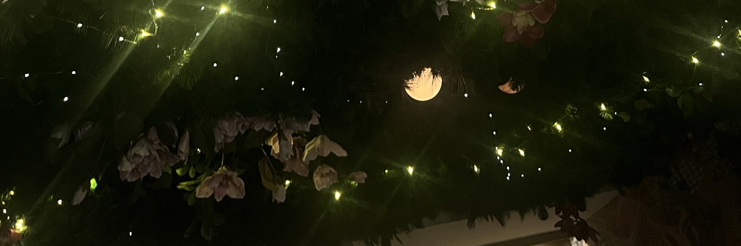 nervns's profile banner image