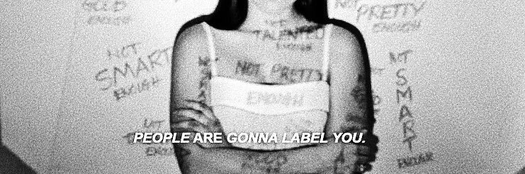 ari banner