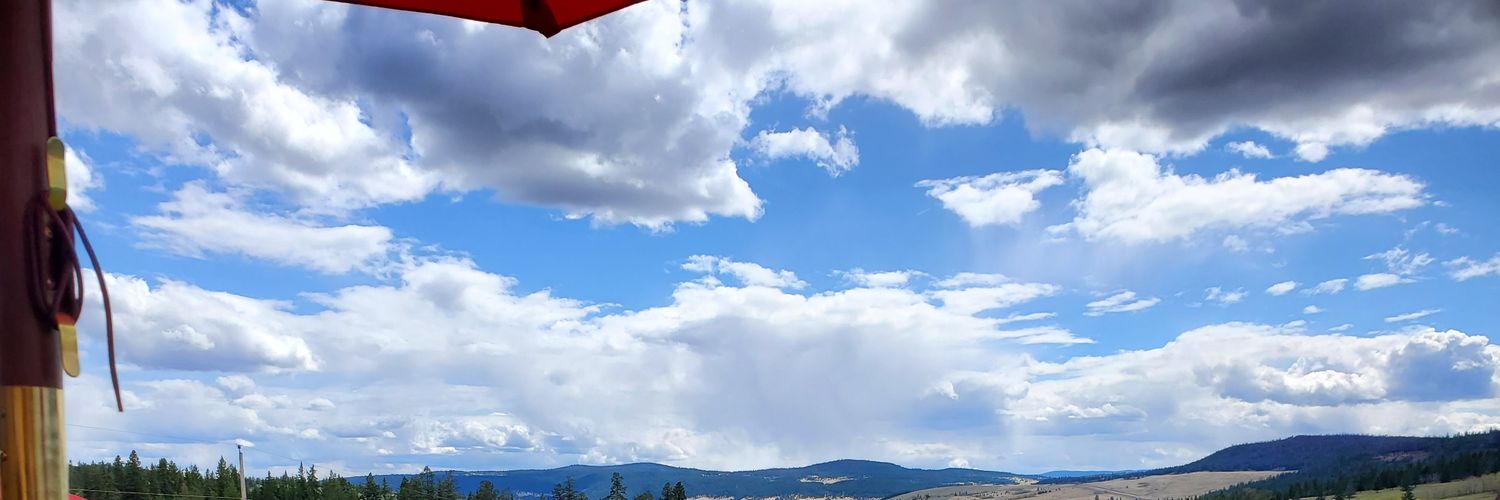 MysticMustang's profile banner image