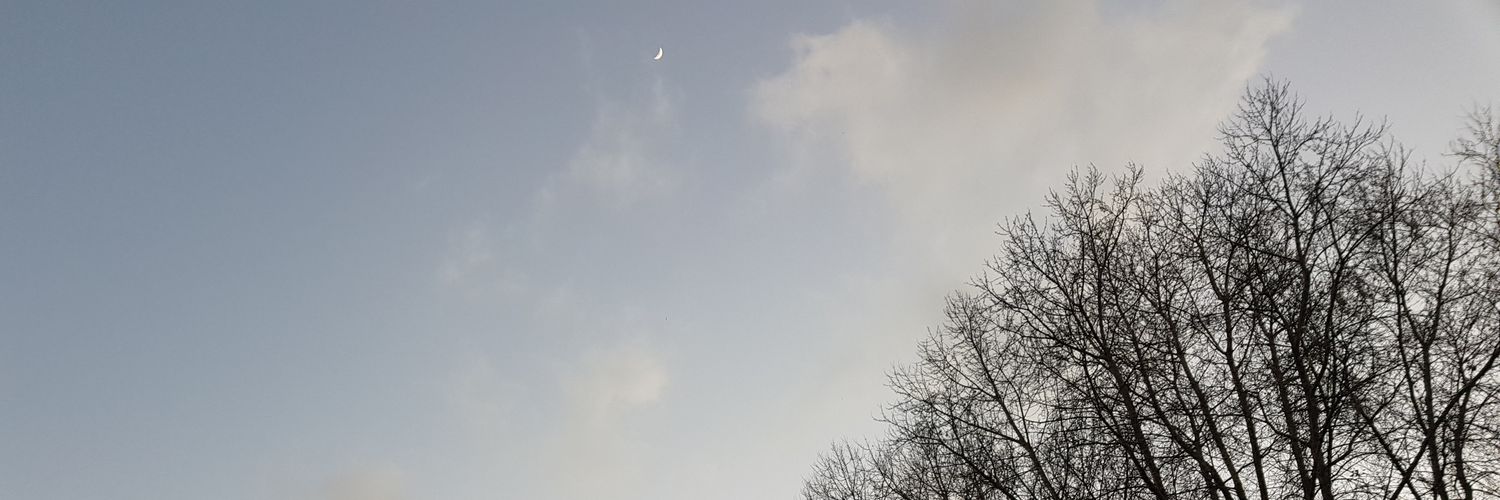 Nikikitman's profile banner image