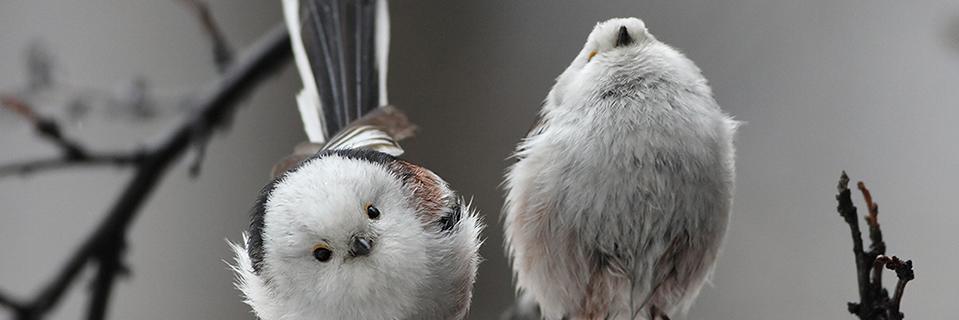 UnoSadNoises's profile banner image