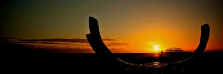 sylviana234's profile banner image