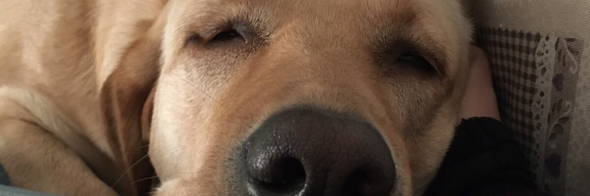 Jacopo_Rm's profile banner image