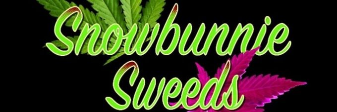 Snowbunz420's profile banner image