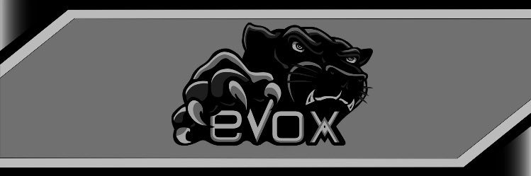 Team Evox banner