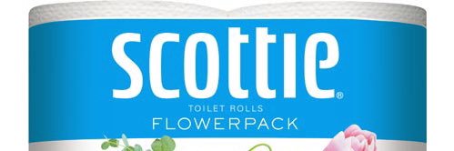 すこってぃー banner