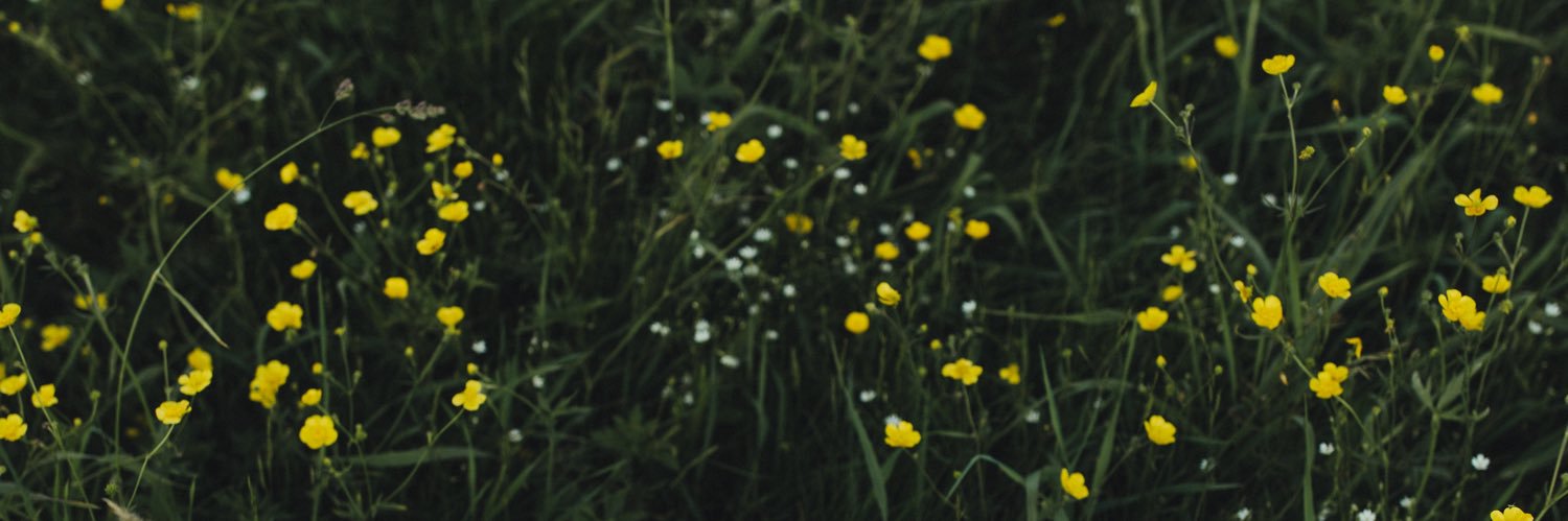 2304_40's profile banner image