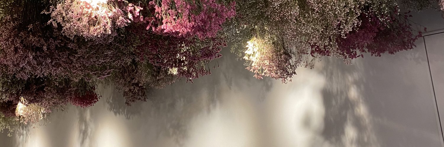 meeeeei__12's profile banner image