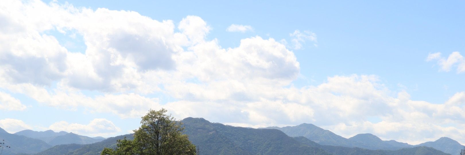 Lilium_library's profile banner image