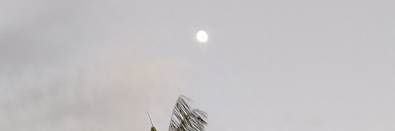 marapantoja's profile banner image