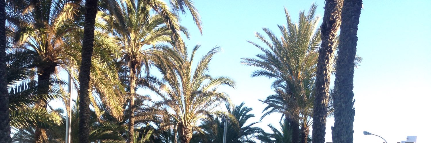 juliaoncina's profile banner image