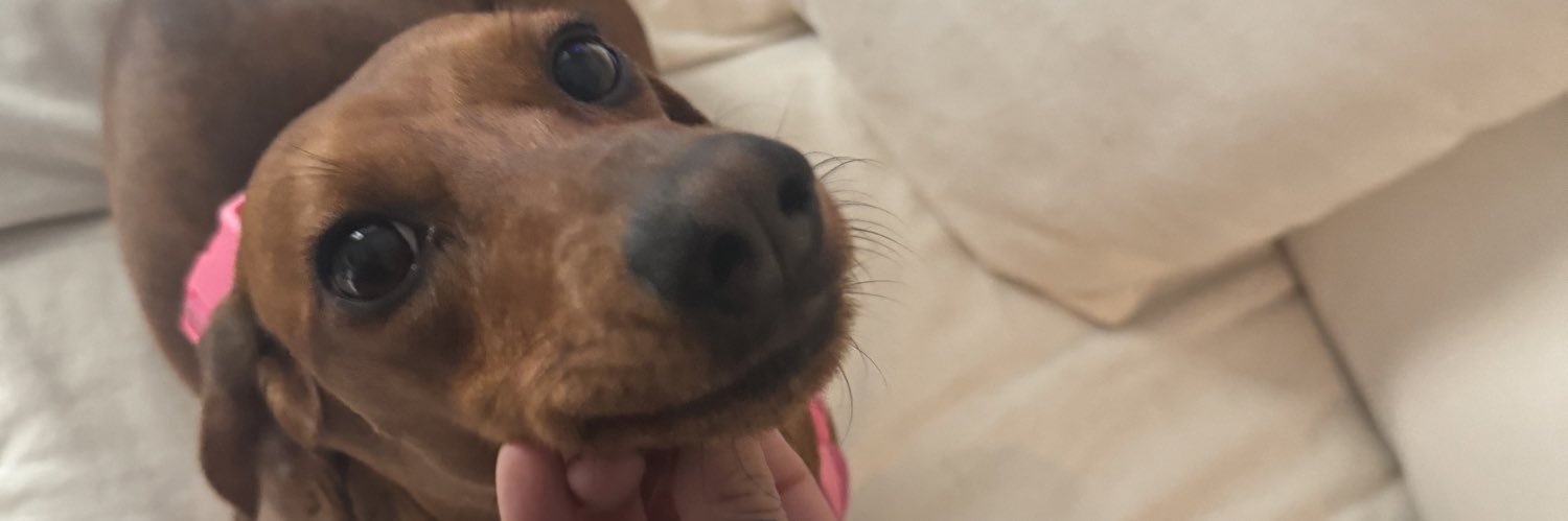 Bebeee_10's profile banner image